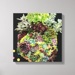 Decoratieve succulenten canvas afdruk