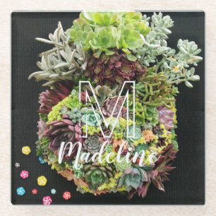 Decoratieve succulenten glazen onderzetter