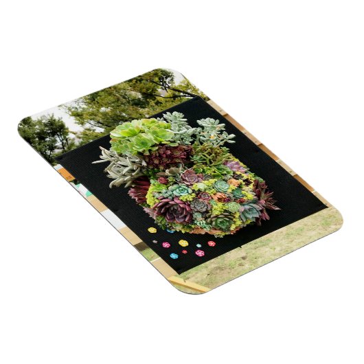 Decoratieve succulenten magneet (Rechterzijde)