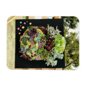 Decoratieve succulenten magneet (Horizontaal)