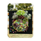 Decoratieve succulenten magneet (Verticaal)