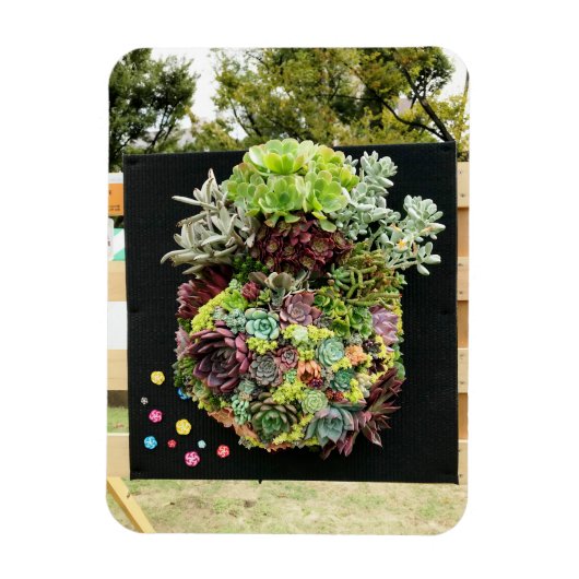 Decoratieve succulenten magneet (Verticaal)