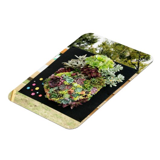 Decoratieve succulenten magneet (Linkerzijde)