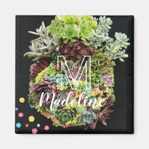 Decoratieve succulenten magneet