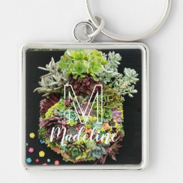 Decoratieve succulenten sleutelhanger