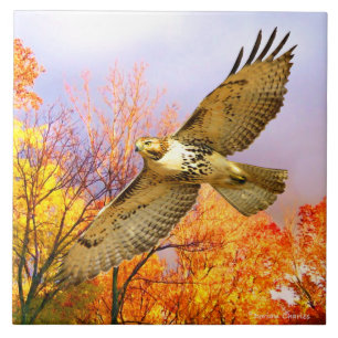 Decoratieve Tegel "High Flyer" Tegeltje