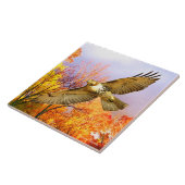 Decoratieve Tegel "High Flyer" Tegeltje (Zijkant)