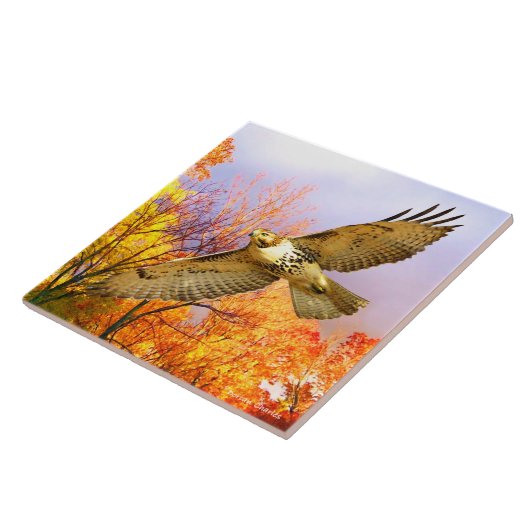 Decoratieve Tegel "High Flyer" Tegeltje (Zijkant)