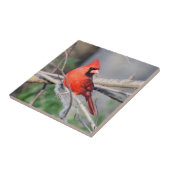 Decoratieve Tegel van de kardinaal Tegeltje (Zijkant)