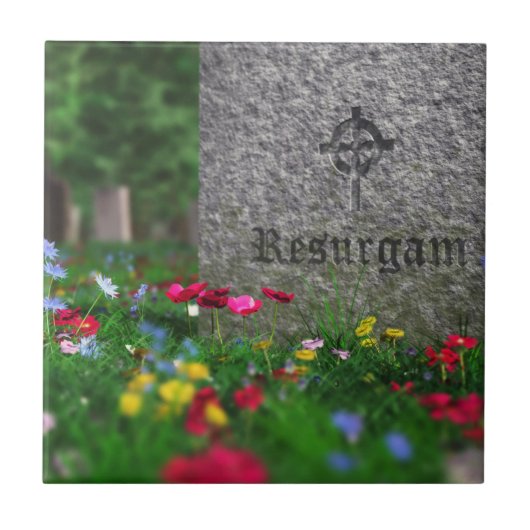 Decoratieve tegel van de reurgam tegeltje (Voorkant)