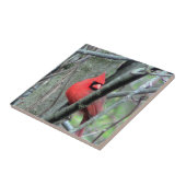 Decoratieve Tegel van de rode lente (mannetjes) Tegeltje (Zijkant)