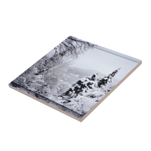 Decoratieve tegel van het meer Nojiri Tegeltje (Zijkant)