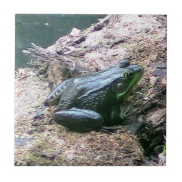 Decoratieve tegel voor Bright Groene Kikker Tegeltje