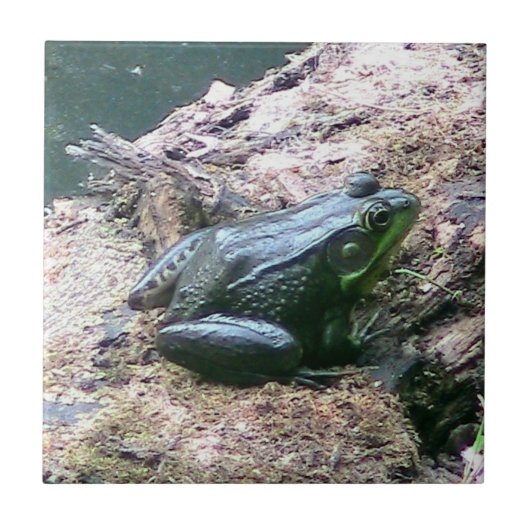Decoratieve tegel voor Bright Groene Kikker Tegeltje (Voorkant)
