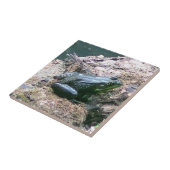 Decoratieve tegel voor Bright Groene Kikker Tegeltje (Zijkant)