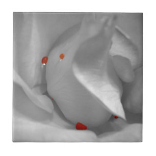 Decoratieve tegel voor de Eoliaanse Waterverf Tegeltje