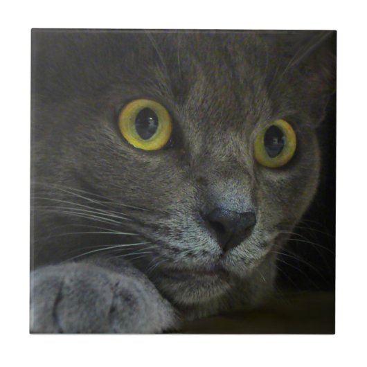 Decoratieve tegel voor intensiteit tegeltje (Voorkant)