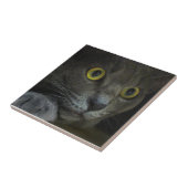 Decoratieve tegel voor intensiteit tegeltje (Zijkant)