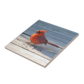 Decoratieve tegel voor landkardinaal tegeltje (Zijkant)