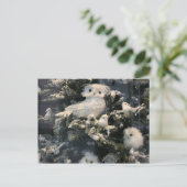 Decoratieve uil op kerstboom feestdagenkaart (Staand voorkant)