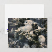 Decoratieve uil op kerstboom feestdagenkaart (Voorkant / Achterkant)