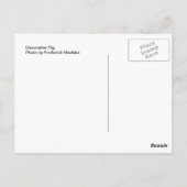 Decoratieve varkens briefkaart (Achterkant)