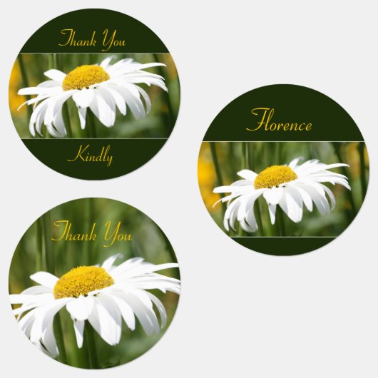 Decoratieve witte madeliefje labels (Groep)