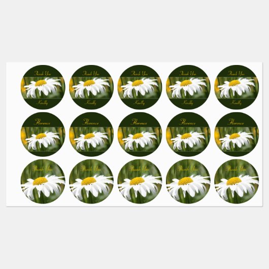 Decoratieve witte madeliefje labels (Vel)