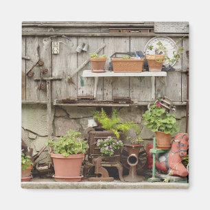 Decorations on wooden fence, Catalina Island; Magneet