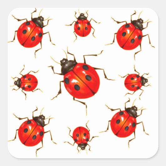 DECORATIVE RED LADY BUG GIFTS VIERKANTE STICKER (Voorkant)