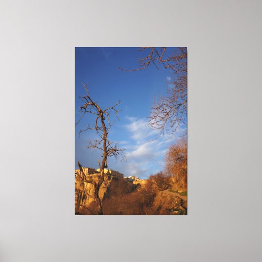 decorative wall art  canvas afdruk (Voorkant)