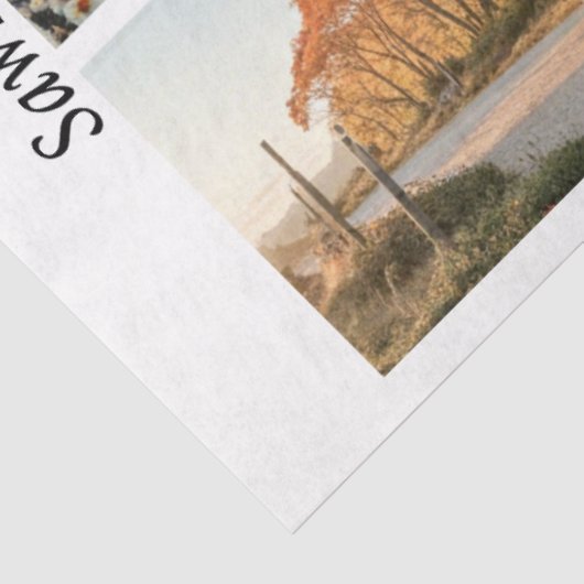 Decoupage 26x6" Handsaw Rustic Wall Art Designs Tissuepapier (Detail)