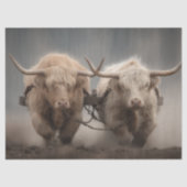 Decoupage 2 Highland Cattle Farming Tissuepapier (Voorkant)