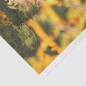 Decoupage 3 Paarden Loopveld Zonnebloemen Tissuepapier (Detail)