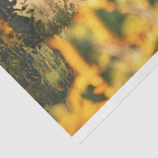 Decoupage 3 Paarden Loopveld Zonnebloemen Tissuepapier (Detail)