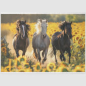 Decoupage 3 Paarden Loopveld Zonnebloemen Tissuepapier (Voorkant)