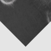 Decoupage 3 Raccoons Peeking Out Barn Door Tissuepapier (Detail)