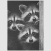 Decoupage 3 Raccoons Peeking Out Barn Door Tissuepapier (Voorkant)