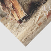 Decoupage 3 Racoon Forest Tricksters & Treats Tissuepapier (Detail)