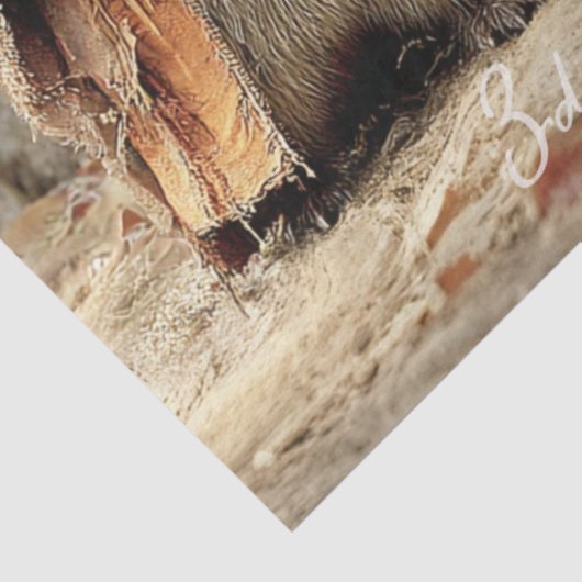 Decoupage 3 Racoon Forest Tricksters & Treats Tissuepapier (Detail)