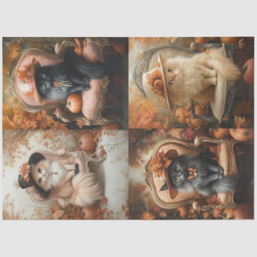 Decoupage 4  Herfst Instelling met Fluffy Cat Tissuepapier (Voorkant)