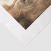 Decoupage 4 Lions Papers Fits 8 x 10 Canvas Tissuepapier (Detail)