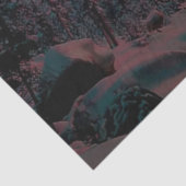 Decoupage Adembenemend Noorderlicht Tissuepapier (Detail)