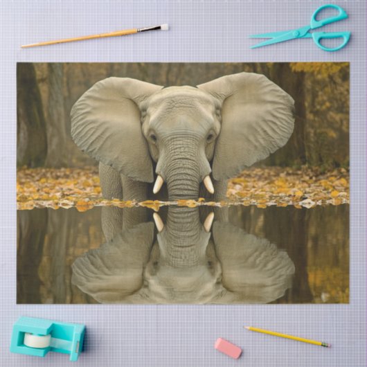 Decoupage Afrikaanse olifant wildlife digitale kun Tissuepapier (Craft)