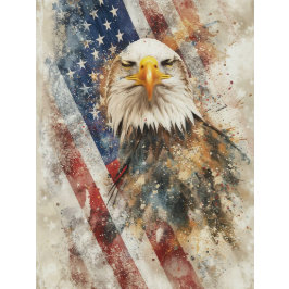 Decoupage Amerikaanse Adelaar Amerikaanse Vlag Tro Tissuepapier