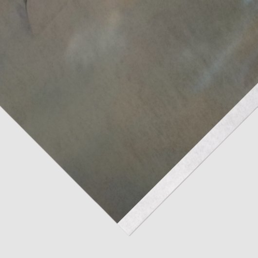 Decoupage Amerikaanse Indiase Aponi betekent vlind Tissuepapier