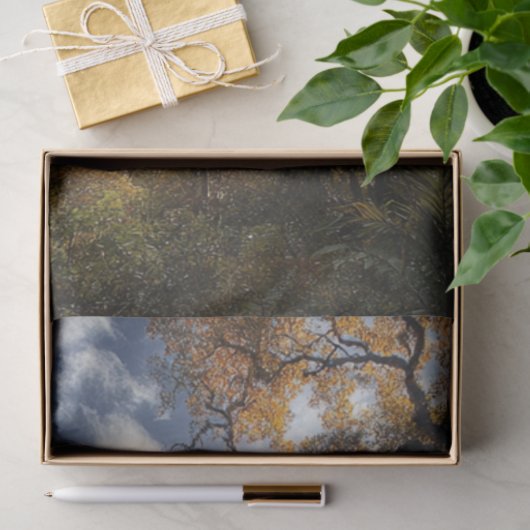 Decoupage Angel Herfsten Waterval Venezuela Tissuepapier (Geschenk)