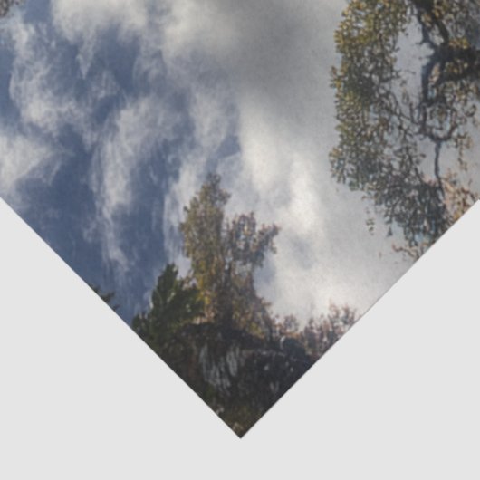 Decoupage Angel Herfsten Waterval Venezuela Tissuepapier (Detail)