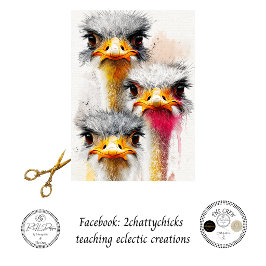 Decoupage Australische Emu Trio Wildlife Art Tissuepapier