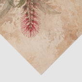 Decoupage Australische Kookaburra Inheemse Vogel Tissuepapier (Detail)